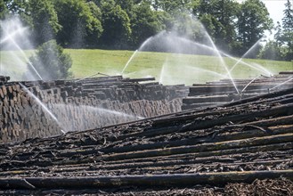 Wet wood storage of a sawmill, timber that is stored longer is sprinkled with water so that the