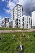 Modern residential district along Toulouser Allee, high-rise buildings with flats and offices, on