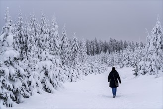 Winter in Sauerland, Hochsauerlandkreis, at Kahler Asten, near Winterberg, few tourists, visitors,