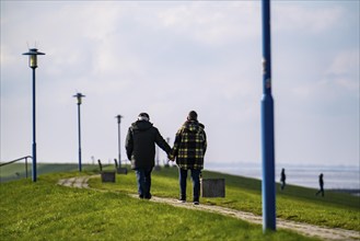 North Sea dyke, near Neuharlingersiel, Lower Saxony, Germany, Europe