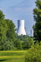 Rhine meadows near Duisburg-Beeckerwerth, view of the STEAG Walsum power station, coal-fired power