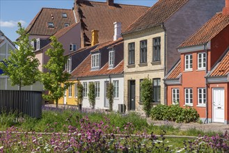 Odense, street in the old town, colourful houses, flowers, trees, eaves houses, Fyn, Fyn Island,