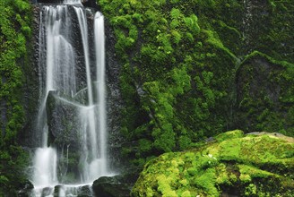 Purakaunui Falls, Catlins Forest Park, Otago, South Island New Zealand, Parakaunui Falls, Otago,