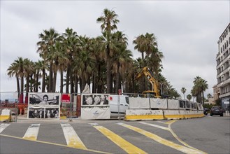 View of a construction fence with photos from the Cannes Film Festival. Behind it are numerous palm