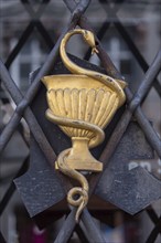 Golden sign with an Aesculapian snake on the door of a pharmacy, Munich, Bavaria, Germany, Europe