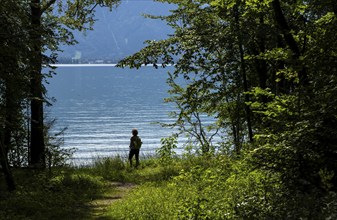 Nature and landscape around Lake Tegernsee, Bavaria, Germany, Europe