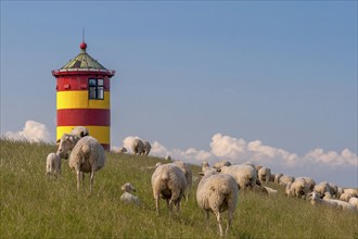 Flock of sheep in front of the Pilsum lighthouse, Pilsum, Krummhörn, East Frisia, Lower Saxony,