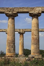 Metaponto, Metaponte, Doric hera temple, Tavole Palatine, Basilicata, Italy, Europe