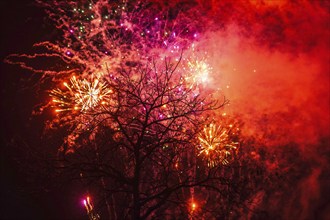 Tree fireworks