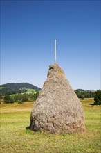 Traditional haystack Triste in the Schwantenau moorland, Canton Schwyz, Switzerland, Europe