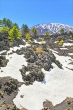 View of lava fields and snow-capped peaks in the distance, Etna, Sicily, Italy, Europe