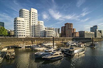 The Neue Zollhof with the Gehry buildings by architect and designer Frank Gehry in the Media