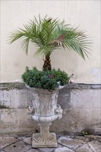 Amphora with palm tree and flowers, Galatina, Apulia, Italy, Europe