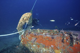 A diver examines an aircraft wreck from the Second World War deep in the ocean, dive site aircraft