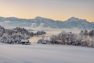 Dawn and sunrise at the wintry Forggensee in a snow-covered winter landscape in the foothills of