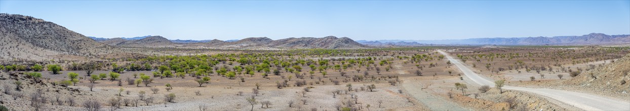 Panorama, gravel track leads through barren dry landscape with hills, Damaraland, Kunene, Namibia,