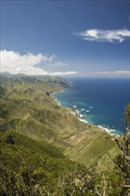 Panorama of Cabezo del Tejo, coast near Taganana, Anaga Mountains, Anaga, Tenerife, Northeast,