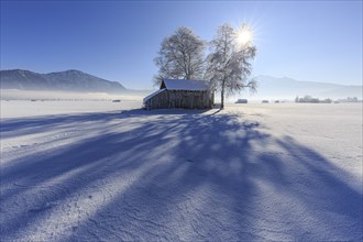 Trees and hut, long shadows, sunbeams, backlight, snow, winter, fog, cold, mountains, Loisach-Lake