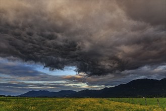 Thunderclouds, flower meadow, mountains, Loisach-Lake Kochel moor, view of Kochler mountains,