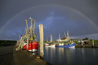 Fishing boats in the harbour of Tammensiel, rainbow, Pellworm Island, Schleswig-Holstein Wadden Sea