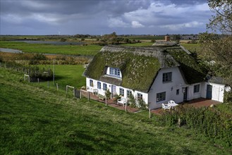 Thatched-roof house on Kaydeich, Pellworm Island, Schleswig-Holstein Wadden Sea National Park,