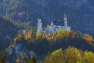 Fairytale castle in autumn, surrounded by colourful trees in an alpine landscape, Neuschwanstein