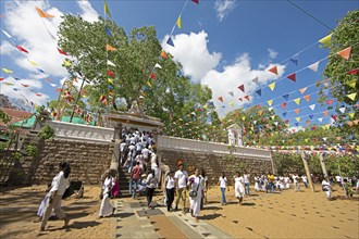 Sri Lankan pilgrims in the holy city of Anuradhapura, behind the Bodhi tree, North Central