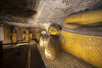 Buddha statues in the Dambulla cave temple, Dambulla, Central Province, Sri Lanka, Asia