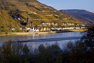 View across the Rhine in the late evening light from Bacharach to Lorch with the parish church of