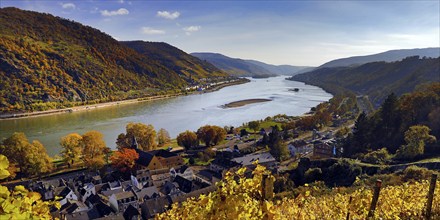 View of Bacharach on the Rhine in autumn, UNESCO World Heritage Upper Middle Rhine Valley,