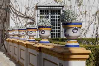 Jardines del Alcazar, Gardens in the Alcazar, Royal Palace of Seville, Seville, Spain, Europe