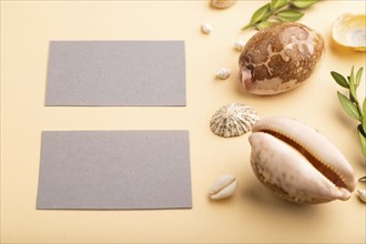 Composition of gray paper business cards, seashells, green boxwood. mockup on orange background.