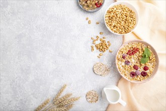 Wheat flakes porridge with milk, raspberry and currant in ceramic bowl on gray concrete background