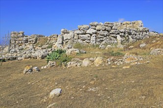 Ggantija neolithic megalithic 5500 years old prehistoric temple complex site Gozo, Malta, Europe