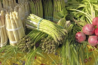 Green and white asparagus, market stall in Italy, Venice, Italy, Europe