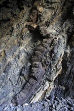 Igneous intrusive sill feature in sea cave at Ajuy, Fuerteventura, Canary Islands, Spain, Europe