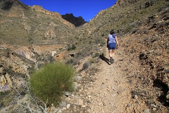 Woman walking Ruta del Agua to Huebro, Sierra Alhamilla mountains, Nijar, Almeria, Spain, Europe