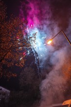 Colourful fireworks explode over a tree and illuminate the night sky, Stuttgart Birkach, Germany,