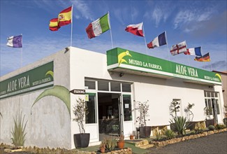 Aloe vera factory shop, Oliva, Fuerteventura, Canary Islands, Spain, Europe