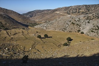 A barren, rocky mountain landscape under a deep blue sky, scattered trees, Askifou plateau,