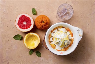 Citrus juicer, sliced fruit, glass with ice, close-up, no people, breakfast