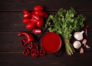 Tomato sauce, tomatoes and sweet pepper, Georgian Satsebeli sauce, with ingredients on a dark