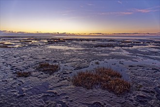 Evening mudflats shortly after sunset at low tide in the Wadden Sea National Park. UNESCO World