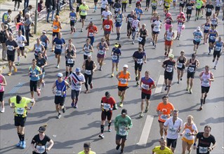 Marathon runners of the Berlin Marathon, 25/09/2016