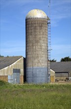 Tower silos grass storage silo in farm yard, Wickham Market, Suffolk, England, United Kingdom,