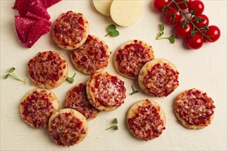 Mini pizzas, salami with mozzarella cheese, on a white table, top view, no people