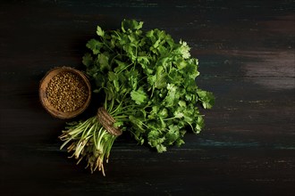 Bunch of fresh Cilantro, coriander seeds, on a dark wooden table, close-up, top view, no people.