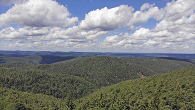 Panorama of the Palatinate Forest