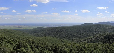 Panorama of the Palatinate Forest