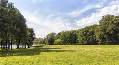 Old park with green lawns and big trees. Belarus